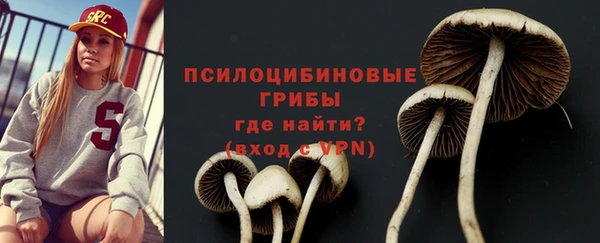 прущие грибы Богородицк