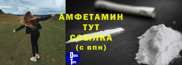 прущие грибы Богородицк