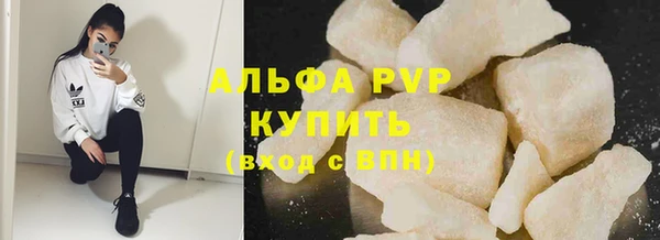 прущие грибы Богородицк