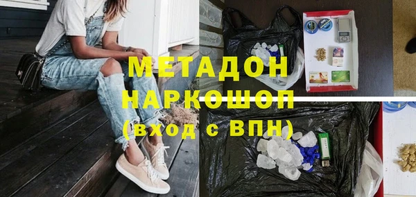 прущие грибы Богородицк
