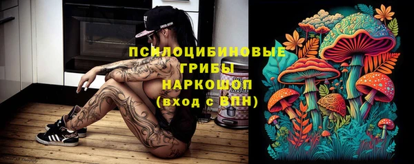 каннабис Богданович