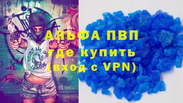прущие грибы Богородицк