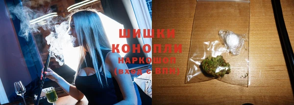 прущие грибы Богородицк